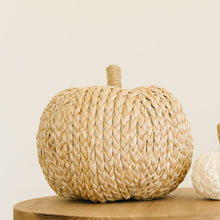 Load image into Gallery viewer, Puffy Neutral Pumpkin
